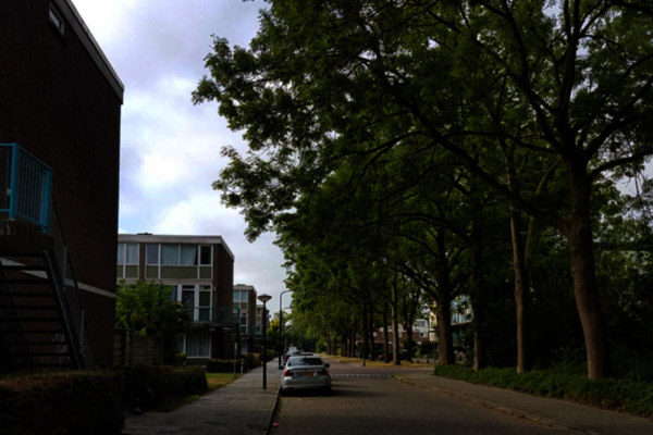 Woongebouwen in Hoorn Noord